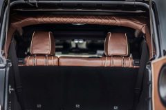 Brown & Tan detail Int